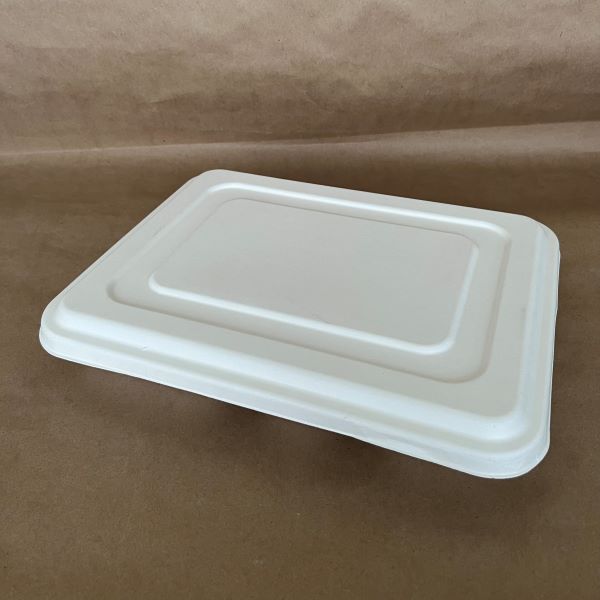 Sugarcane Tray Lid 11